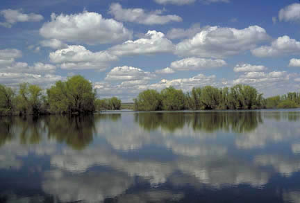 Moses Lake WA wildlife area